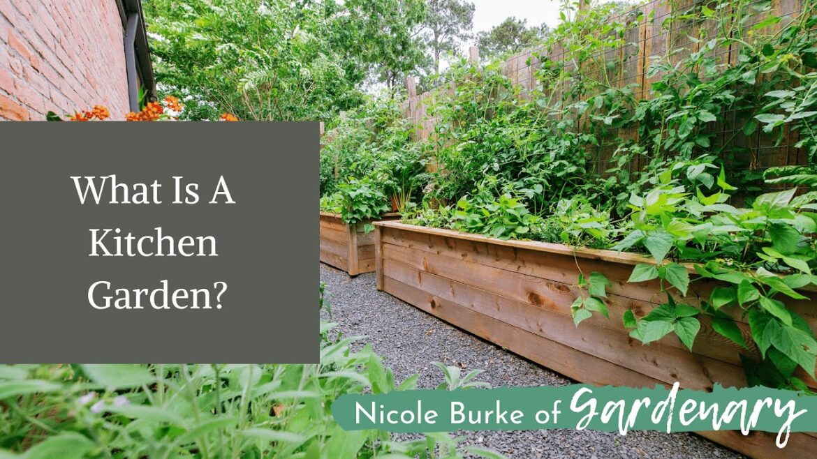 What is a Kitchen Garden? | The Difference Between Kitchen Gardening and Vegetable Gardening What is a Kitchen Garden? | The Difference Between Kitchen Gardening and Vegetable Gardening