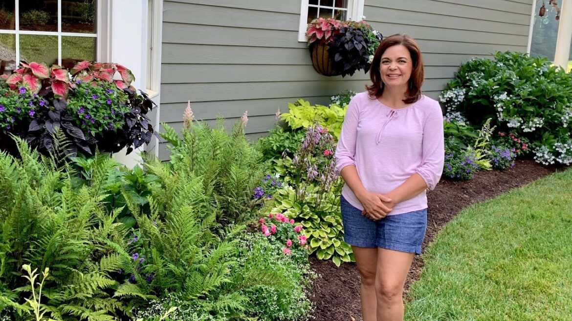 Summer Shade Garden Tour // Gardening with Creekside Summer Shade Garden Tour // Gardening with Creekside