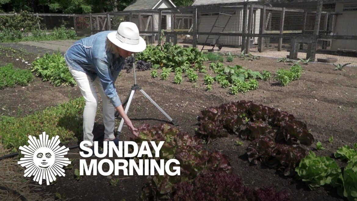 A tour of Martha Stewart’s vegetable garden A tour of Martha Stewart’s vegetable garden