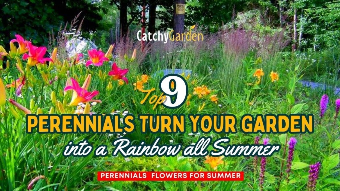 These 9 Perennials Turn Your Garden into a Rainbow ALL Summer πΉβοΈπ· // Landscaping Ideas These 9 Perennials Turn Your Garden into a Rainbow ALL Summer πΉβοΈπ· // Landscaping Ideas