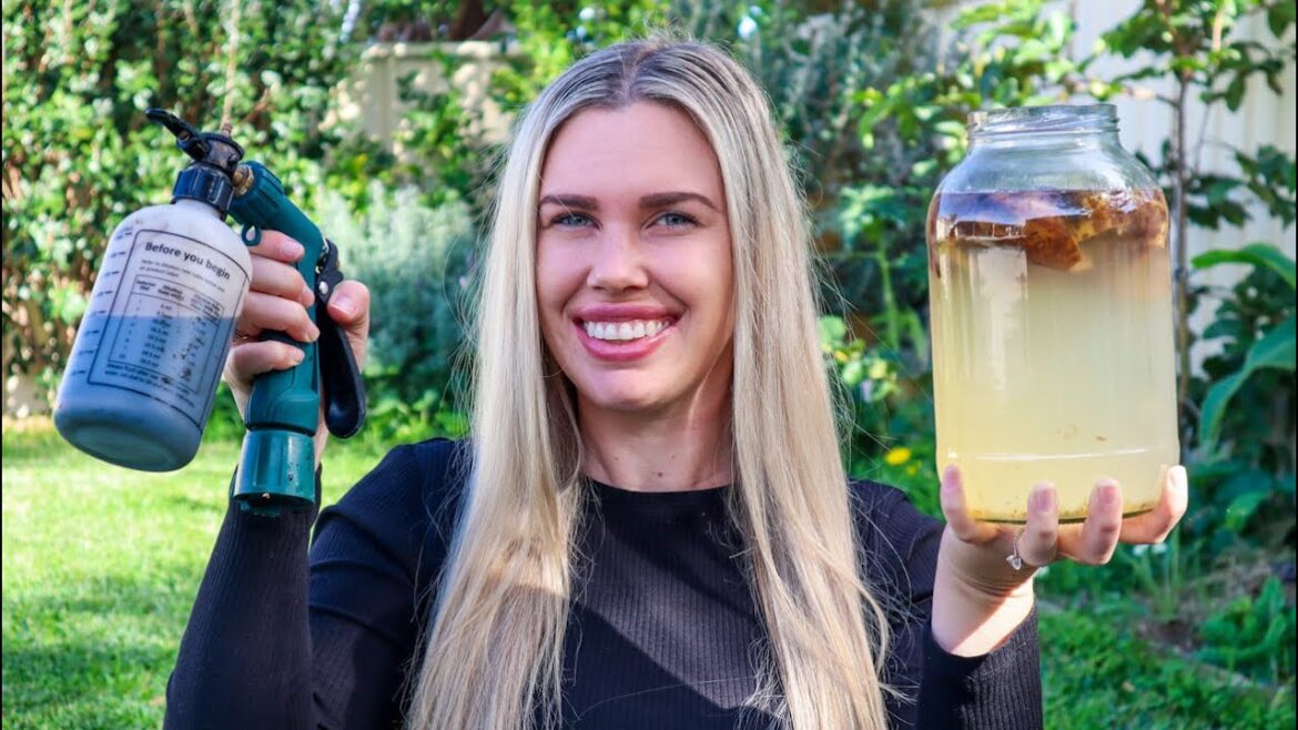 15 Easy Organic Fertilizers to make at Home and Grow AMAZING Edible Gardens 15 Easy Organic Fertilizers to make at Home and Grow AMAZING Edible Gardens