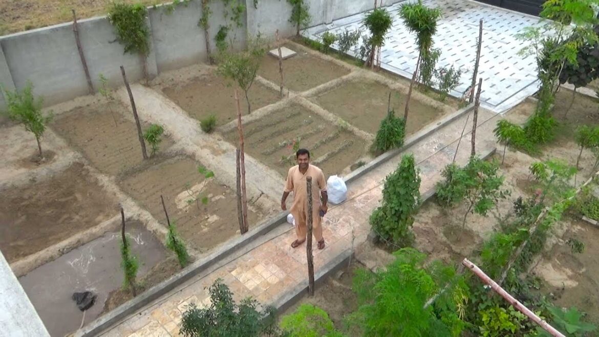 Farmhouse Vegetable Garden Landscape Ideas | Check My Farmhouse Look | Kitchen Gardening Farmhouse Vegetable Garden Landscape Ideas | Check My Farmhouse Look | Kitchen Gardening