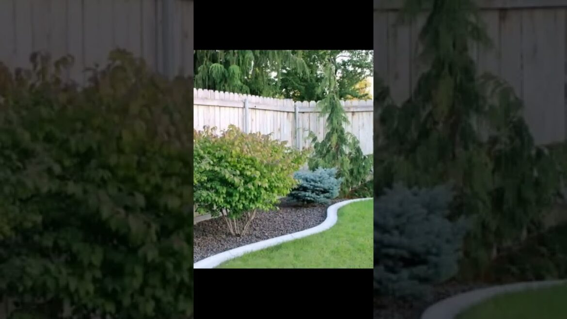 #shorts Landscape Desing ideas Best ideas for  garden and landscape #11