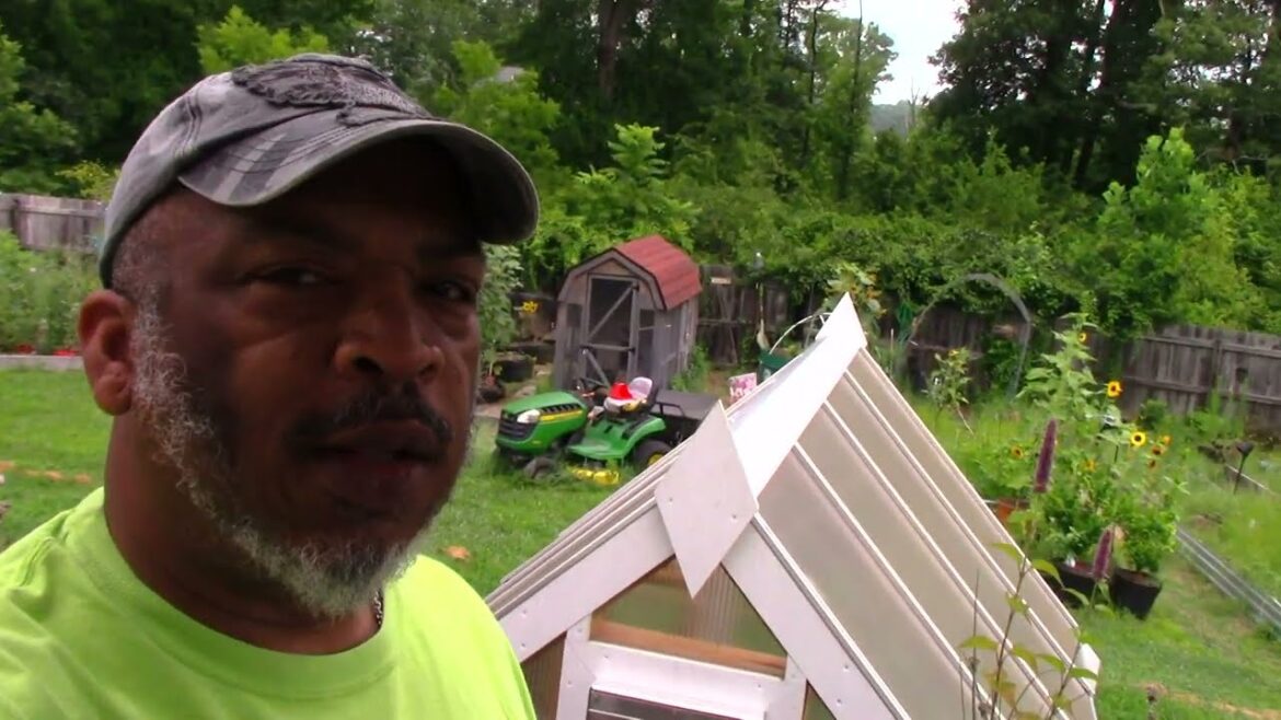 Mid July Garden Updates | Backyard Edible Garden Mid July Garden Updates | Backyard Edible Garden