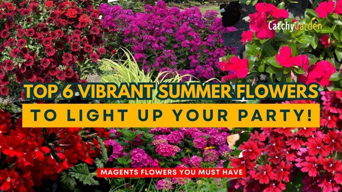 Party Planted: Top 6 Vibrant Summer Flowers to Light Up Your Party! π₯πΊπΉ // Gardening Ideas Party Planted: Top 6 Vibrant Summer Flowers to Light Up Your Party! π₯πΊπΉ // Gardening Ideas
