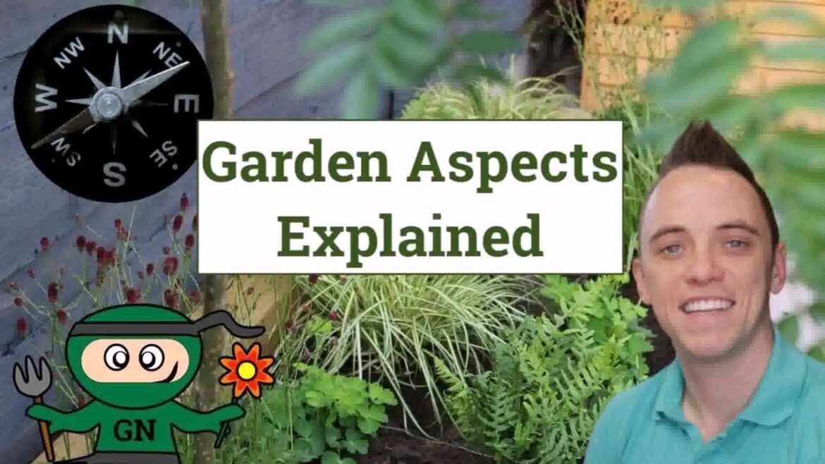 Garden Design Ideas Uk Youtube