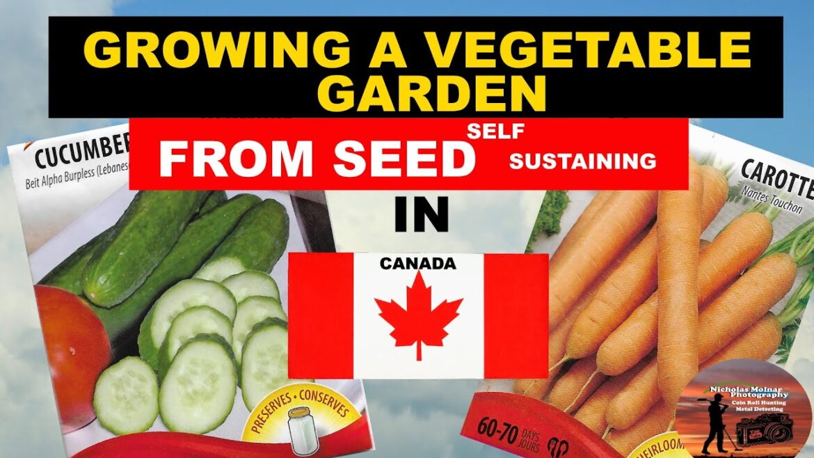 Growing a Vegetable Garden from Seed – Ontario Canada Growing a Vegetable Garden from Seed - Ontario Canada
