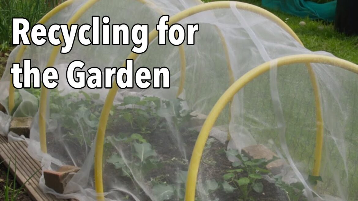 Recycling for the Garden: Upcycling Items for a More Productive Vegetable Garden Recycling for the Garden: Upcycling Items for a More Productive Vegetable Garden
