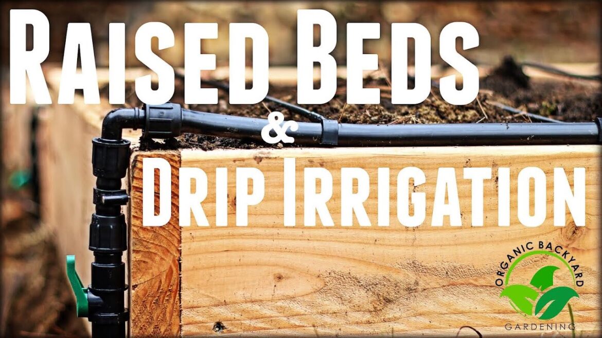 How to Build a Raised Garden Bed with Drip Irrigation – Inexpensive & Easy How to Build a Raised Garden Bed with Drip Irrigation - Inexpensive & Easy