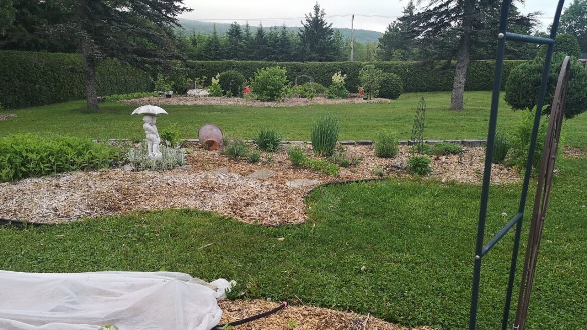 150+ edible perennials in zone 4 150+ edible perennials in zone 4