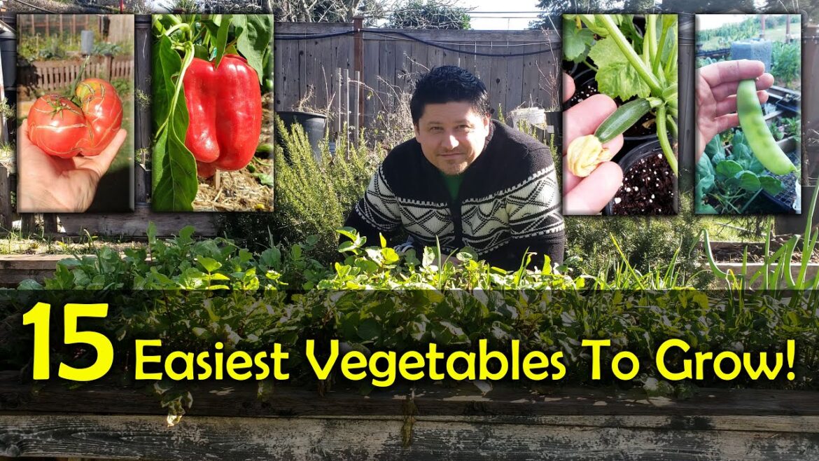 The 15 Easiest Vegetables To Grow For Beginners The 15 Easiest Vegetables To Grow For Beginners