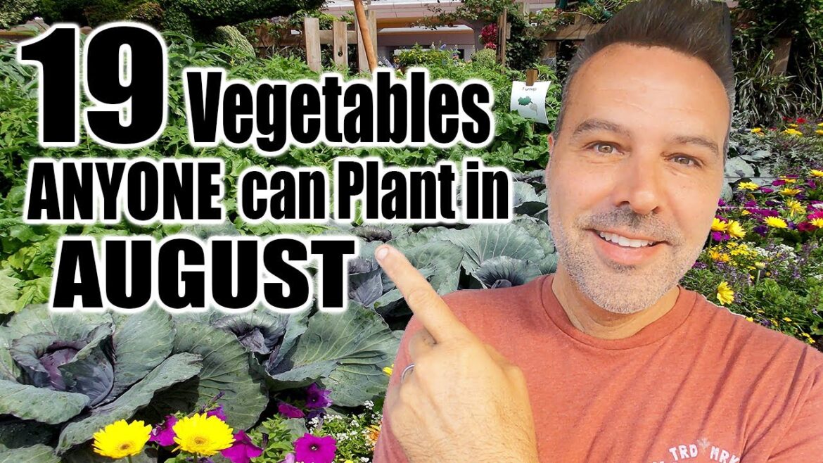 California Garden TV: What Vegetables Can I Still Plant in August? IN ANY CLIMATE What Vegetables Can I Still Plant in August? IN ANY CLIMATE