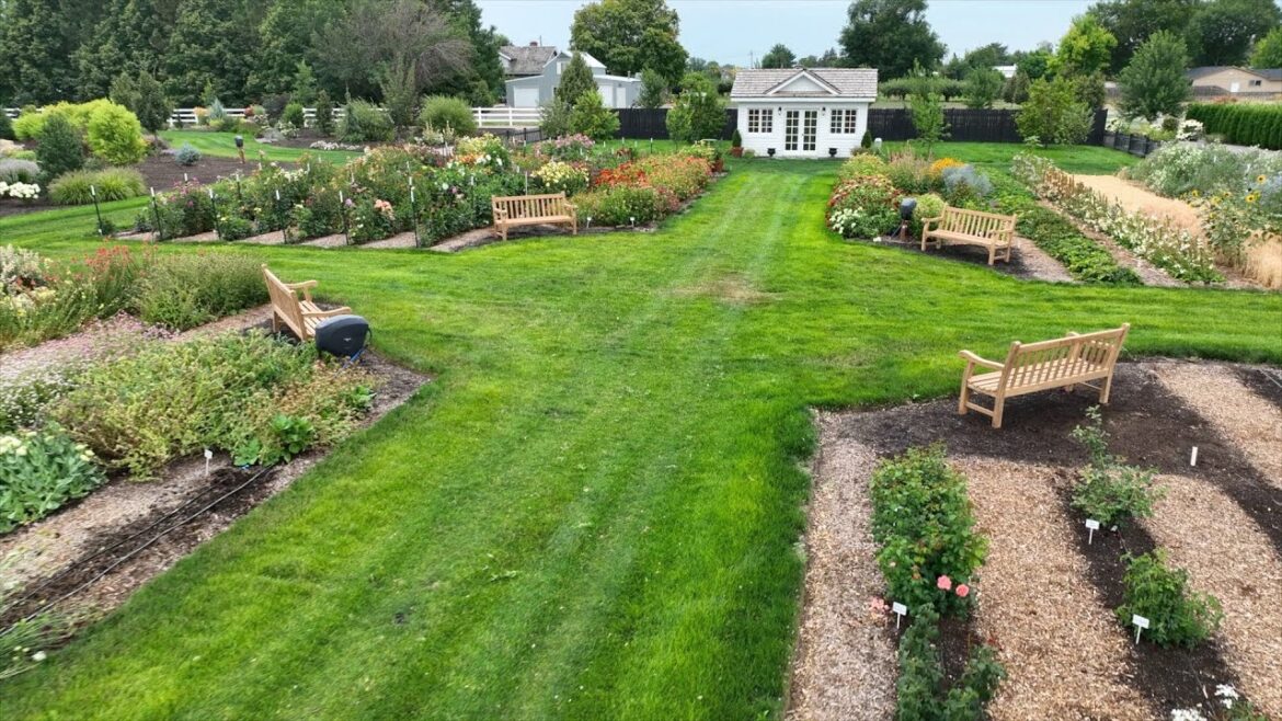 Garden Answer: Beautiful Delivery for the Cut Flower Garden & Big Pepper Harvest! ๐๐ซ๐ถ๏ธ// Garden Answer Beautiful Delivery for the Cut Flower Garden & Big Pepper Harvest! ๐๐ซ๐ถ๏ธ// Garden Answer