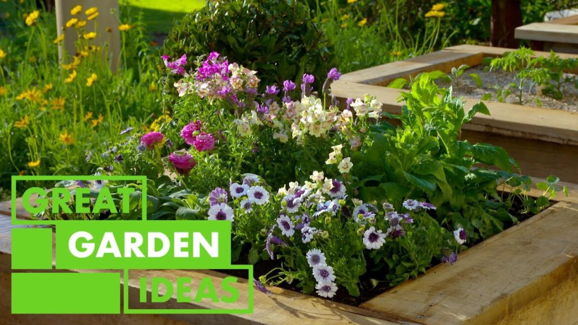 What to plant for Springtime | GARDEN | Great Home Ideas What to plant for Springtime | GARDEN | Great Home Ideas