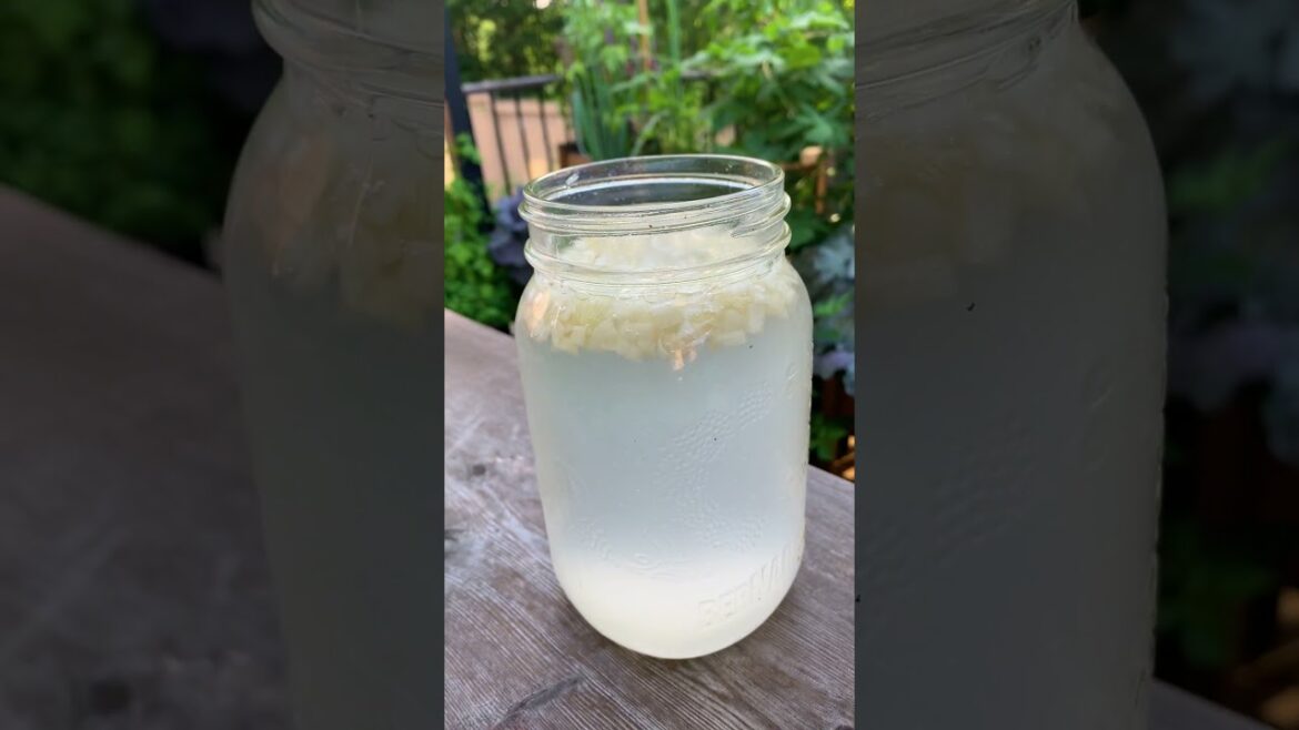 This old school onion spray is natural, safe and easy to make at home