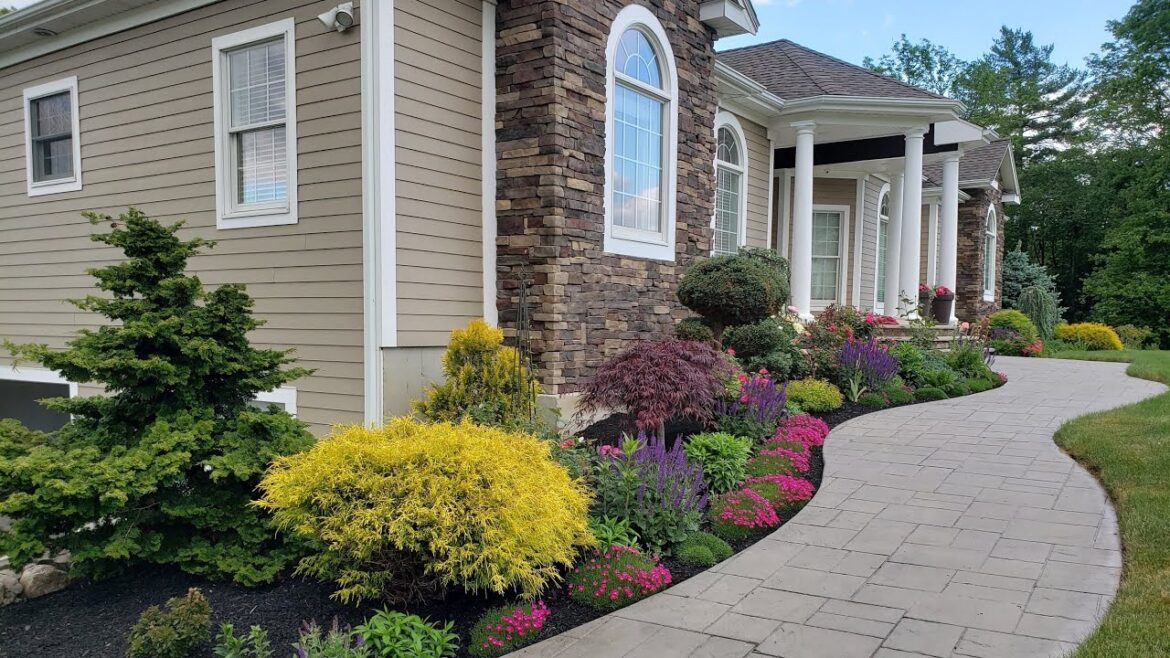 New Construction Landscape Before and After New Construction Landscape Before and After