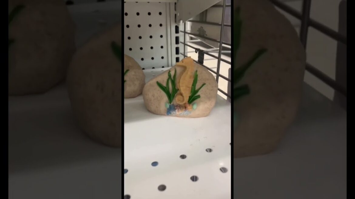 NEW Dollar Tree 🌸 SPRING 2023 #gardening #dollartree #shorts #spring #new #dollartreehaul #shopping