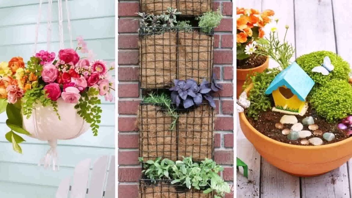 Garden Design Ideas India