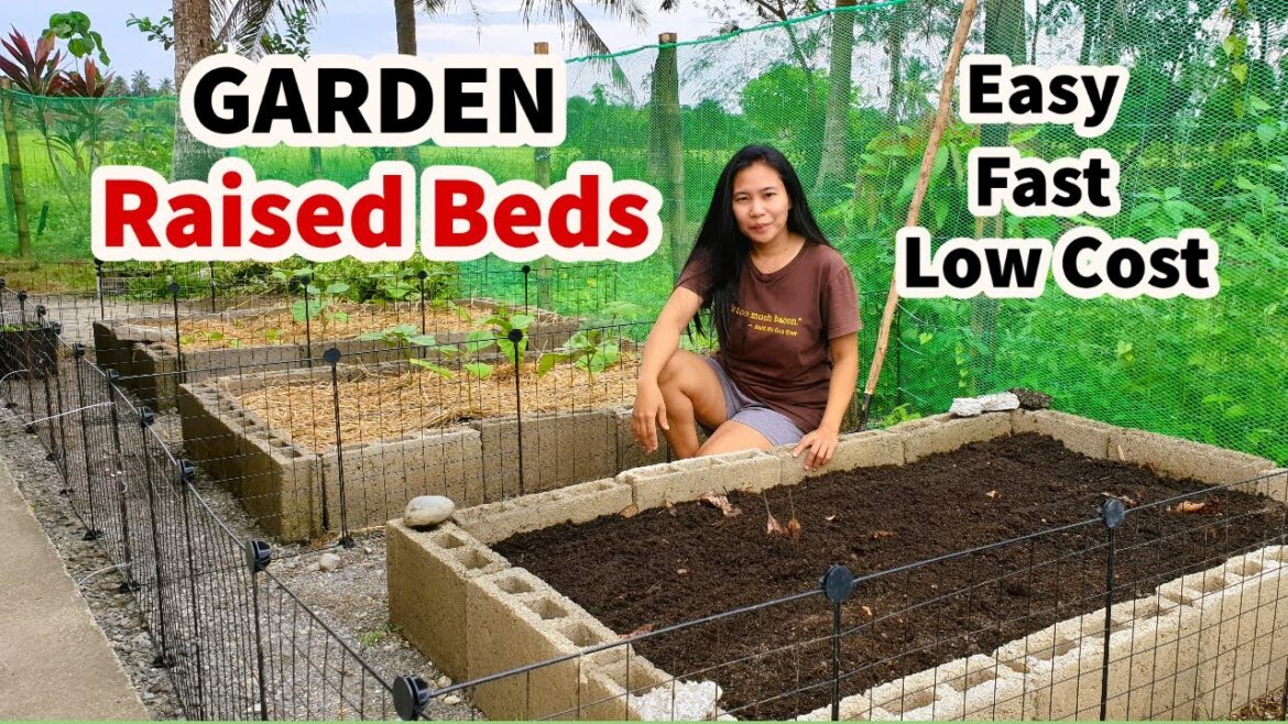 How To Build Raised Garden Beds At Home Cheap And Easy | Raised Bed Gardening