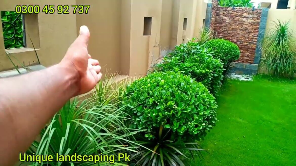 Beautiful small garden Design ideas – Beautiful small garden Creative Landscape Design ideas Beautiful small garden Design ideas - Beautiful small garden Creative Landscape Design ideas