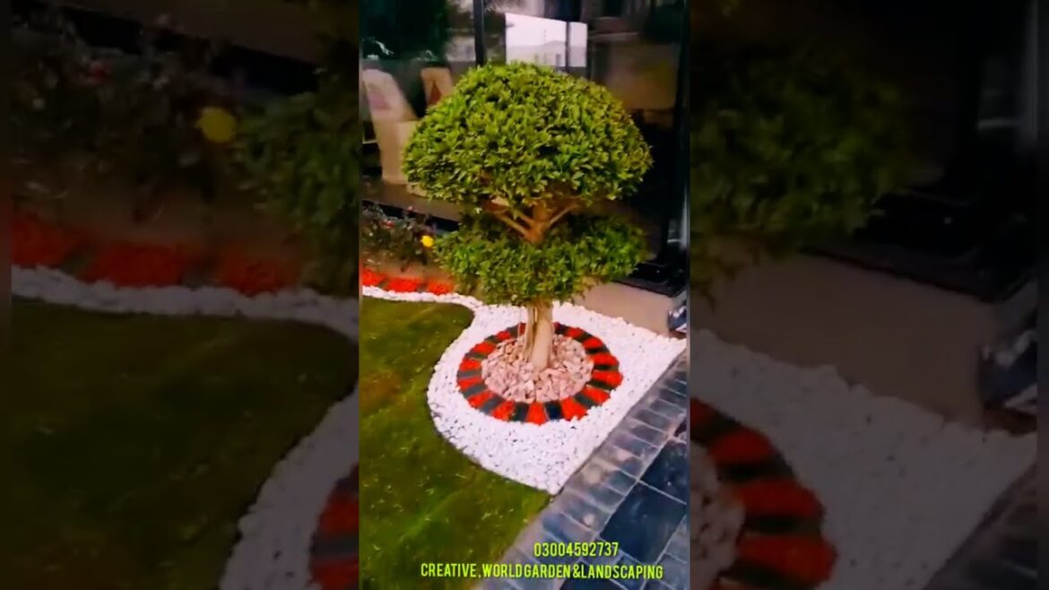 Most beautiful Modern 1kanal house inside Creative Garden Design and Unique stone Pebble Designing