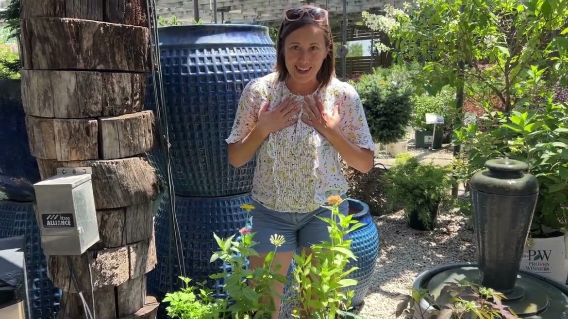 🦋 Colonial Kids Club: Learning Gardens - Week 10