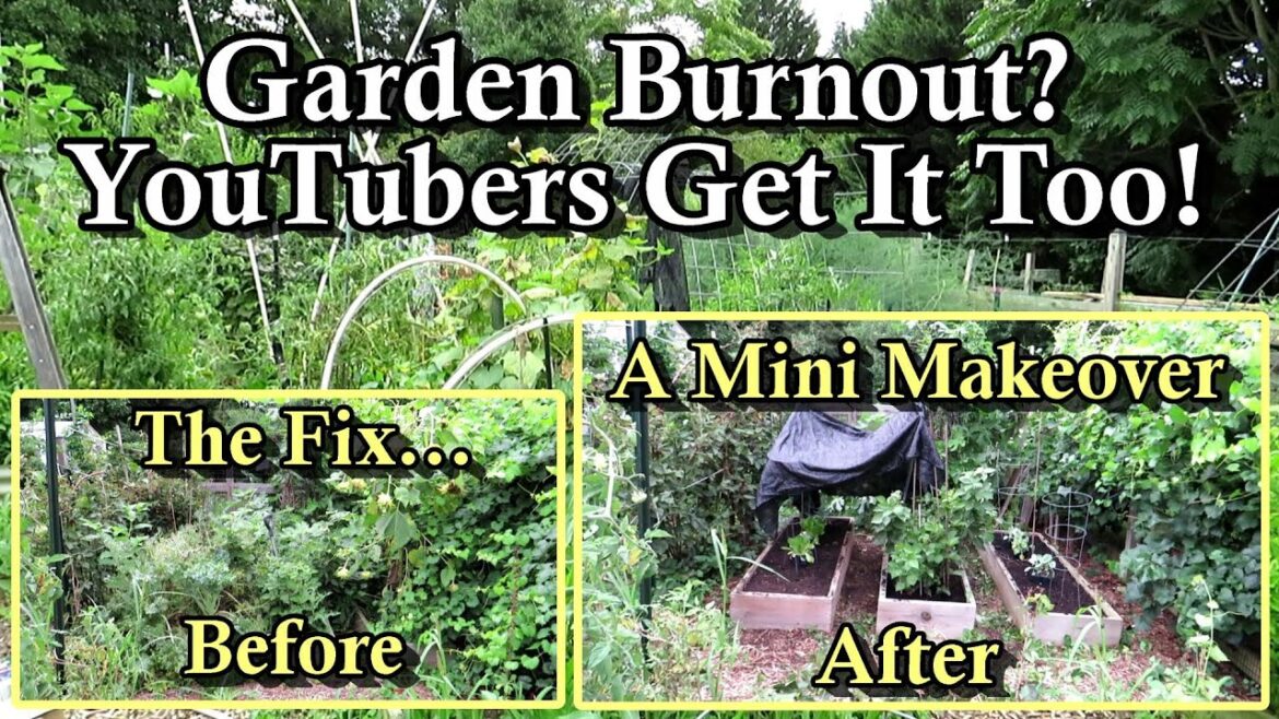 Gary Pilarchik: YouTuber’s Gardens Look Like This (Sometimes): How to Address Garden Burnout With A Mini Makeover! YouTuber's Gardens Look Like This (Sometimes): How to Address Garden Burnout With A Mini Makeover!