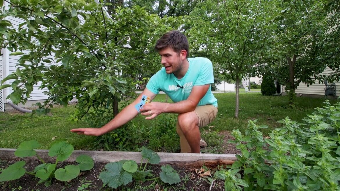 MIgardener: Amazing Garden Helper From…HARRY POTTER?! Amazing Garden Helper From…HARRY POTTER?!