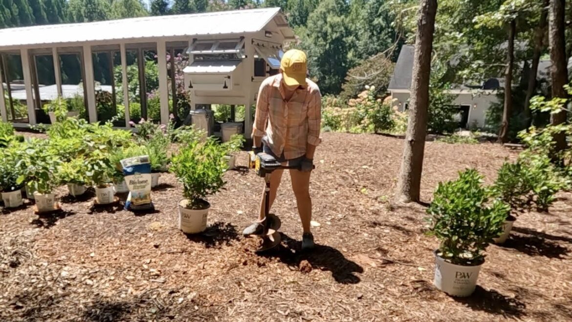 Planting Shrubs That Can Handle Late Summer Heat | Gardening with Creekside