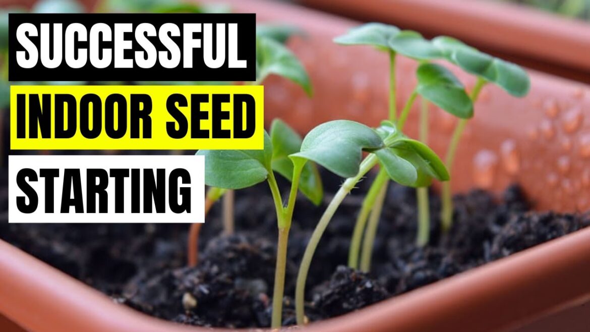 Tips for Successful Indoor Seed Starting