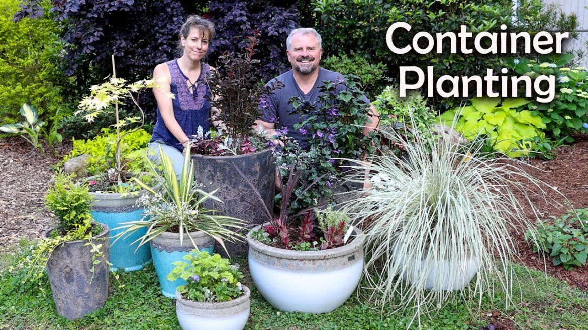 Container Plant Design - Flower, Texture, Form, Contrast, and Scale