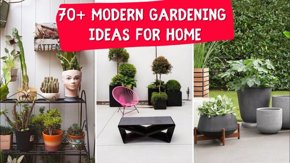 Modern gardening ideas for home 🍀 Over 70 original garden designs