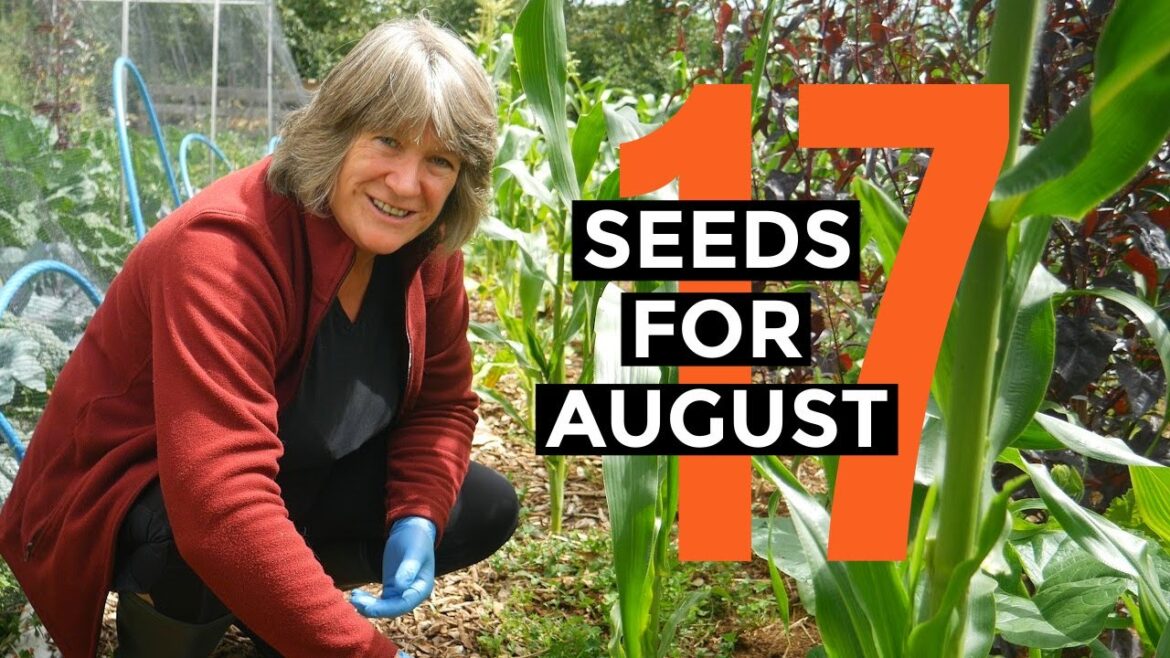 What to Sow in August | Easy to Grow Food | Self-sufficient Vegetable Garden.