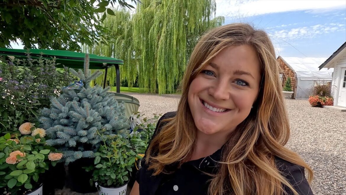 Garden Answer: Planting Complimentary Colors- Orange & Blue! 💙🎨🧡 // Garden Answer Planting Complimentary Colors- Orange & Blue! 💙🎨🧡 // Garden Answer
