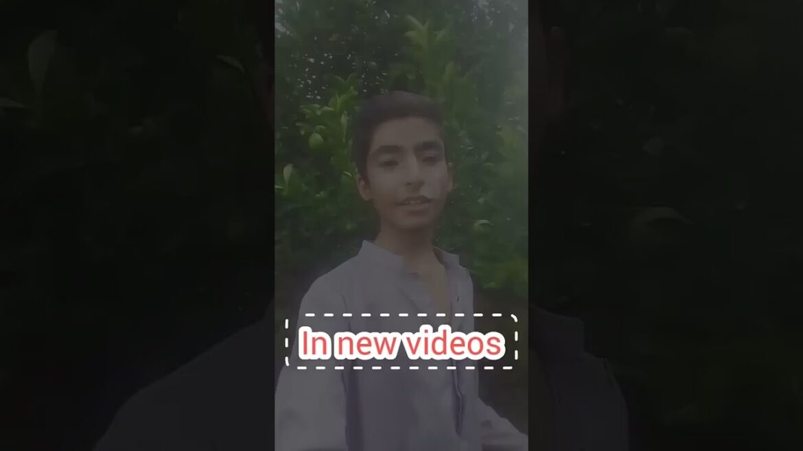 Trailer | What's in this channel | Gardening & plants | Pakistan home gardening