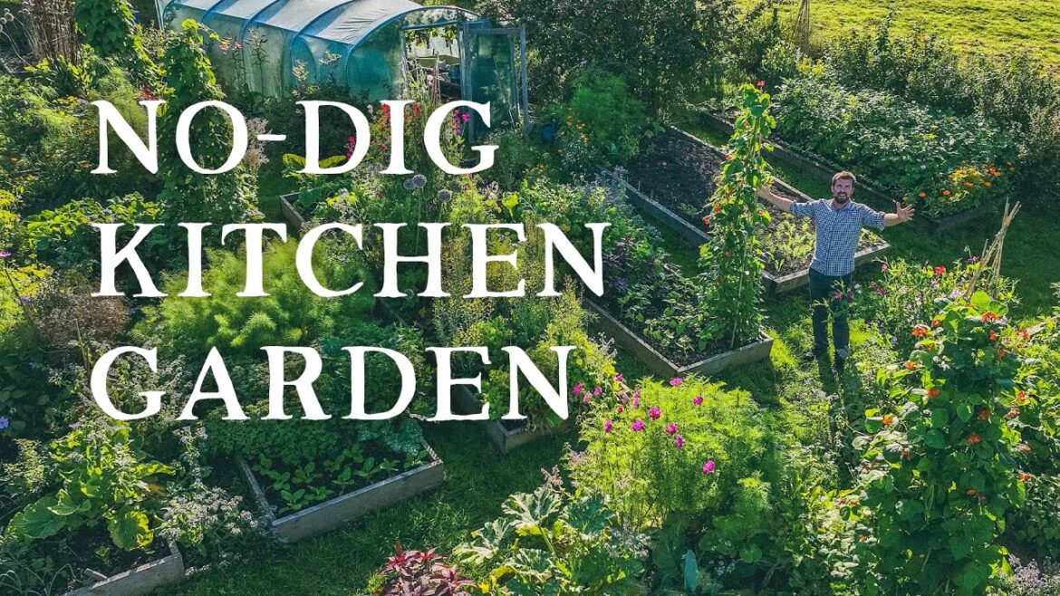 Huw Richards: August Tour of My Permaculture Kitchen Garden | No-Dig Polyculture August Tour of My Permaculture Kitchen Garden | No-Dig Polyculture
