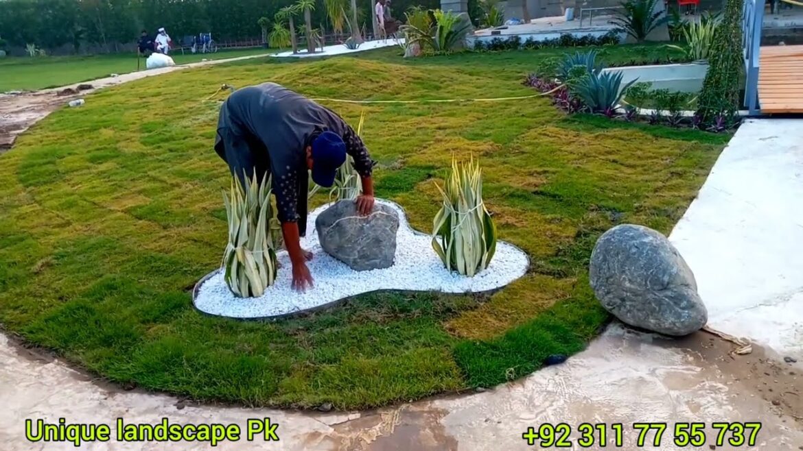 8kanal form house 🏡 ideas unique garden landscaping ideas green garden ideas swimming pool Ideas 8kanal form house 🏡 ideas unique garden landscaping ideas green garden ideas swimming pool Ideas