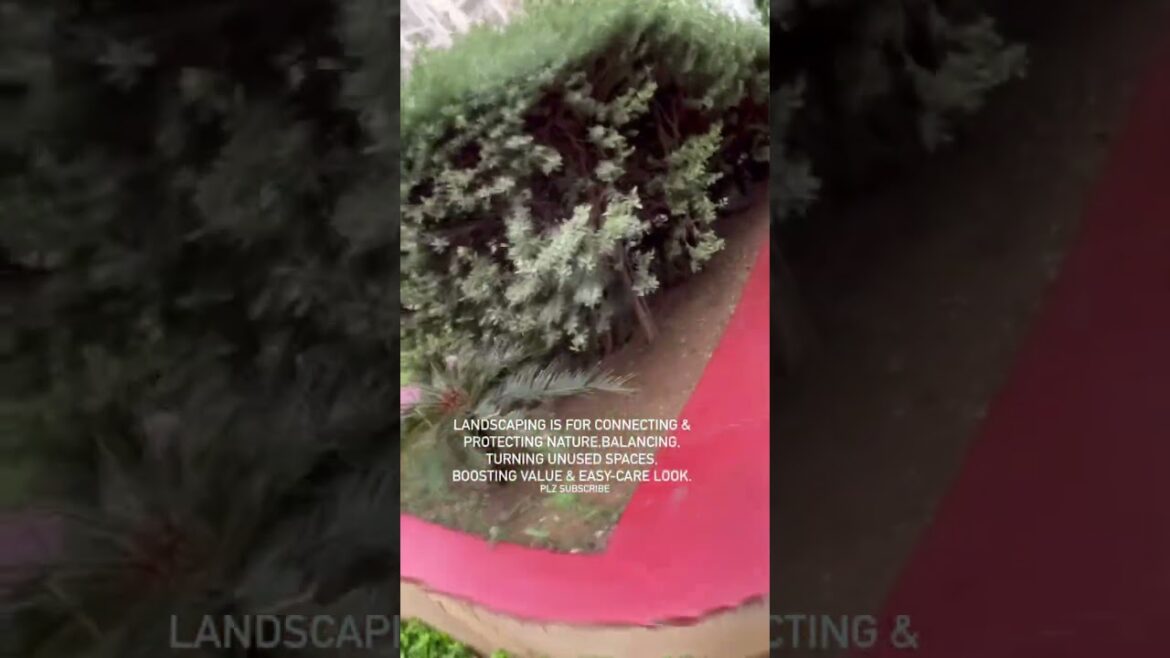 Landscaping🤡  #shorts #ytshorts #garden #plants #decor #shortvideo #viral #reels @Helpplants 198