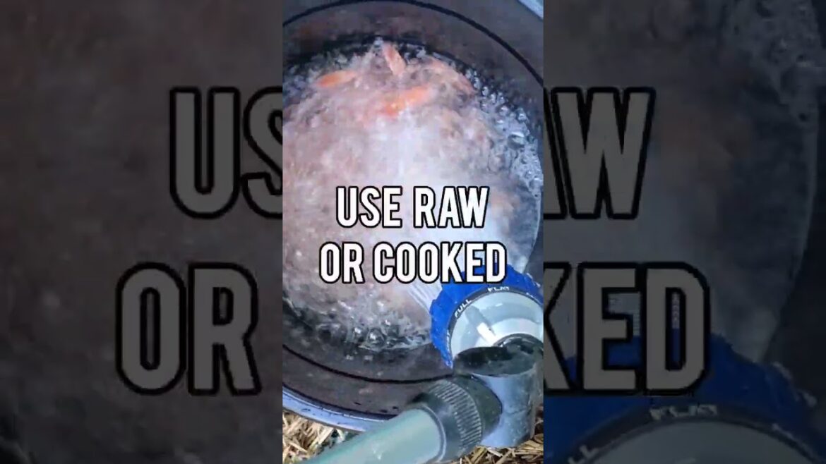 HOW TO Reuse Shrimp Shells in the Garden #organicgardening #soil #shells