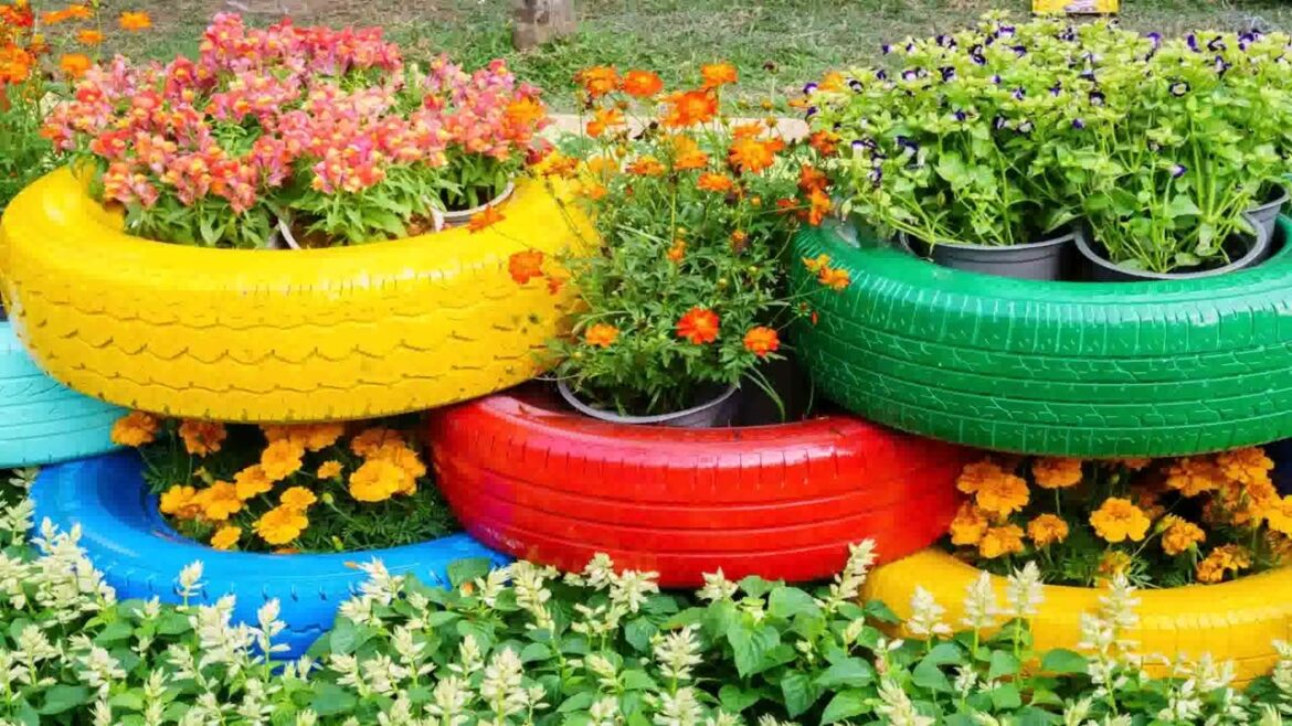 Backyard Landscape Design Ideas On A Budget