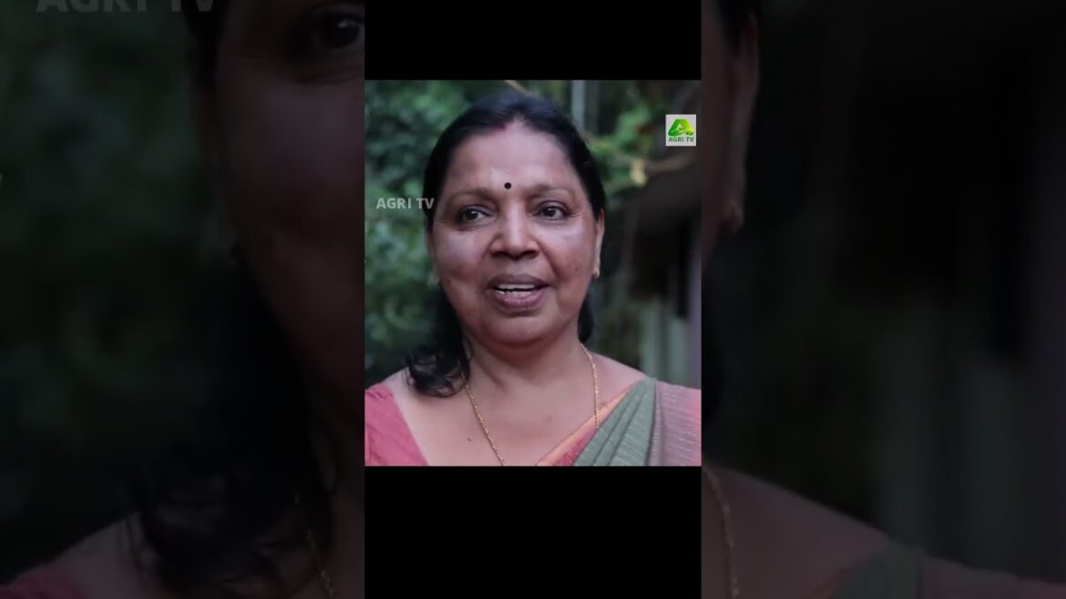 മുറ്റം നിറയെ വെറൈറ്റി ചെടികൾ! ചെടികളെ ജീവനുതുല്യം സ്നേഹിക്കുന്ന ഉഷ ടീച്ചർ| Garden tour മുറ്റം നിറയെ വെറൈറ്റി ചെടികൾ! ചെടികളെ ജീവനുതുല്യം സ്നേഹിക്കുന്ന ഉഷ ടീച്ചർ| Garden tour