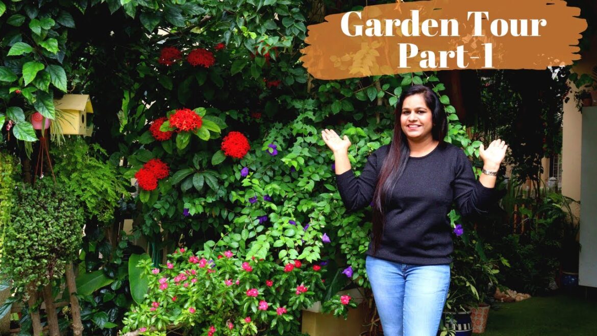 My Garden Tour Part-1||देखिए क्या क्या लगाया है मैंने अपने garden में My Garden Tour Part-1||देखिए क्या क्या लगाया है मैंने अपने garden में