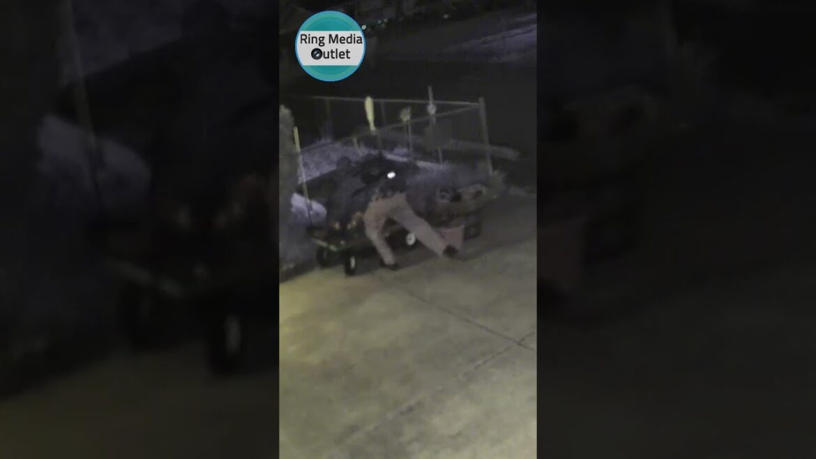 Stole our gardening supply #shorts