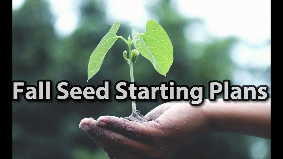 Fall Cool Crop Planting Plans || Late Season Update