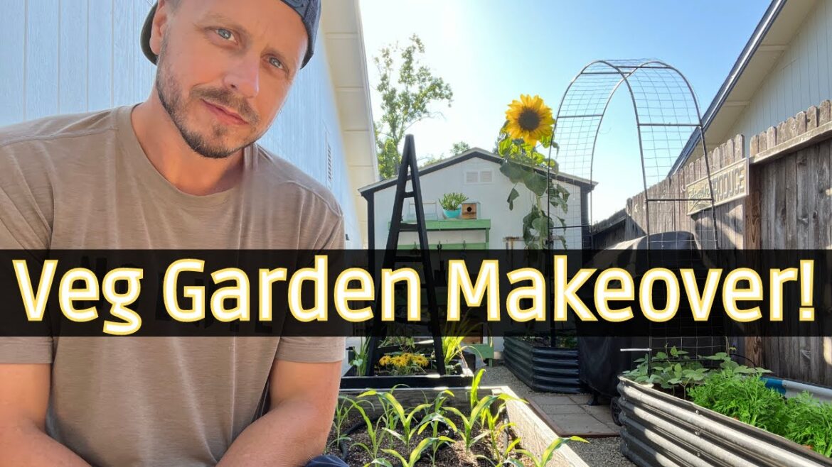 Small Space California Vegetable Garden Small Space California Vegetable Garden