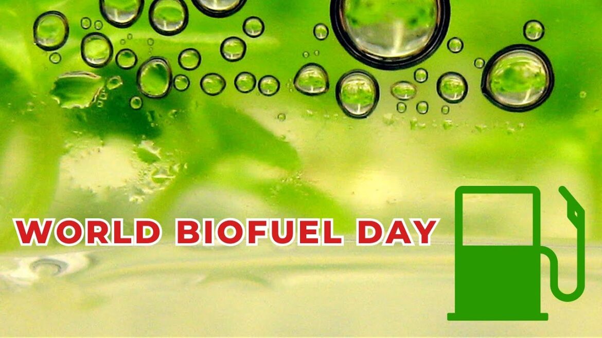 Untold story of Biofuels | World Biofuel Day Celebration /Today Trending News / Google Trends