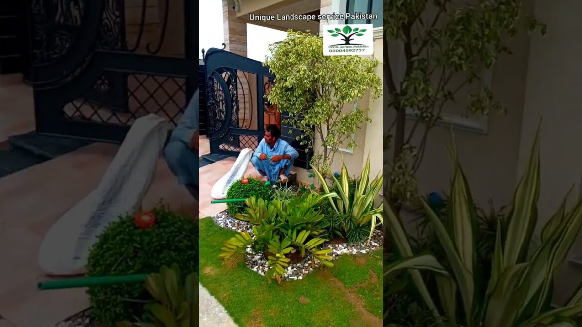 Beautiful Creative #Landscape design Ideas #5Marla house in #DHA Lahore #Unique #garden design Ideas Beautiful Creative #Landscape design Ideas #5Marla house in #DHA Lahore #Unique #garden design Ideas