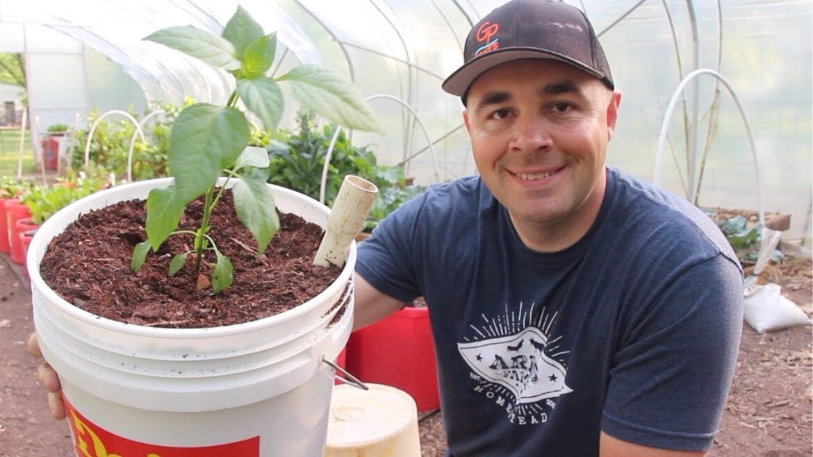 How to Build the BEST Self Wicking Bucket! DIY Self Watering 5 Gallon Bucket How to Build the BEST Self Wicking Bucket! DIY Self Watering 5 Gallon Bucket