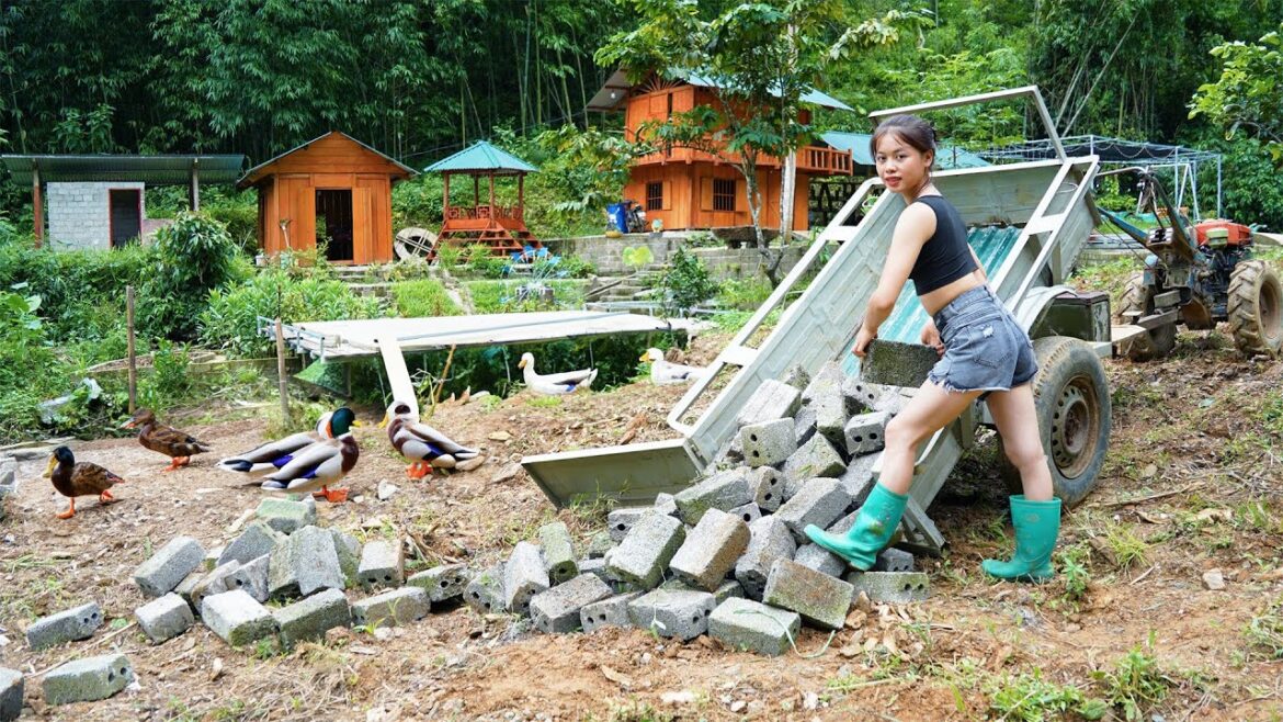 Transporting construction materials, building vegetable gardens, repairing farms – building farms Transporting construction materials, building vegetable gardens, repairing farms - building farms