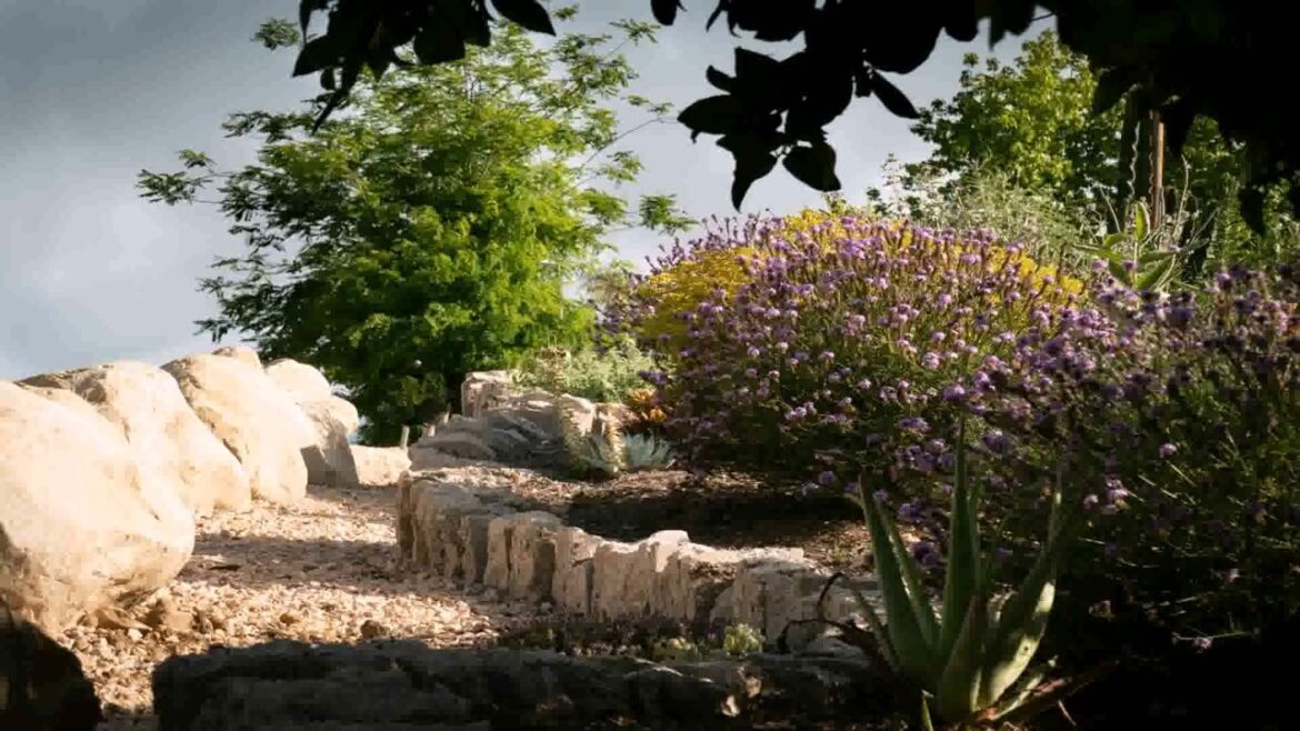 Backyard Landscaping Ideas Desert